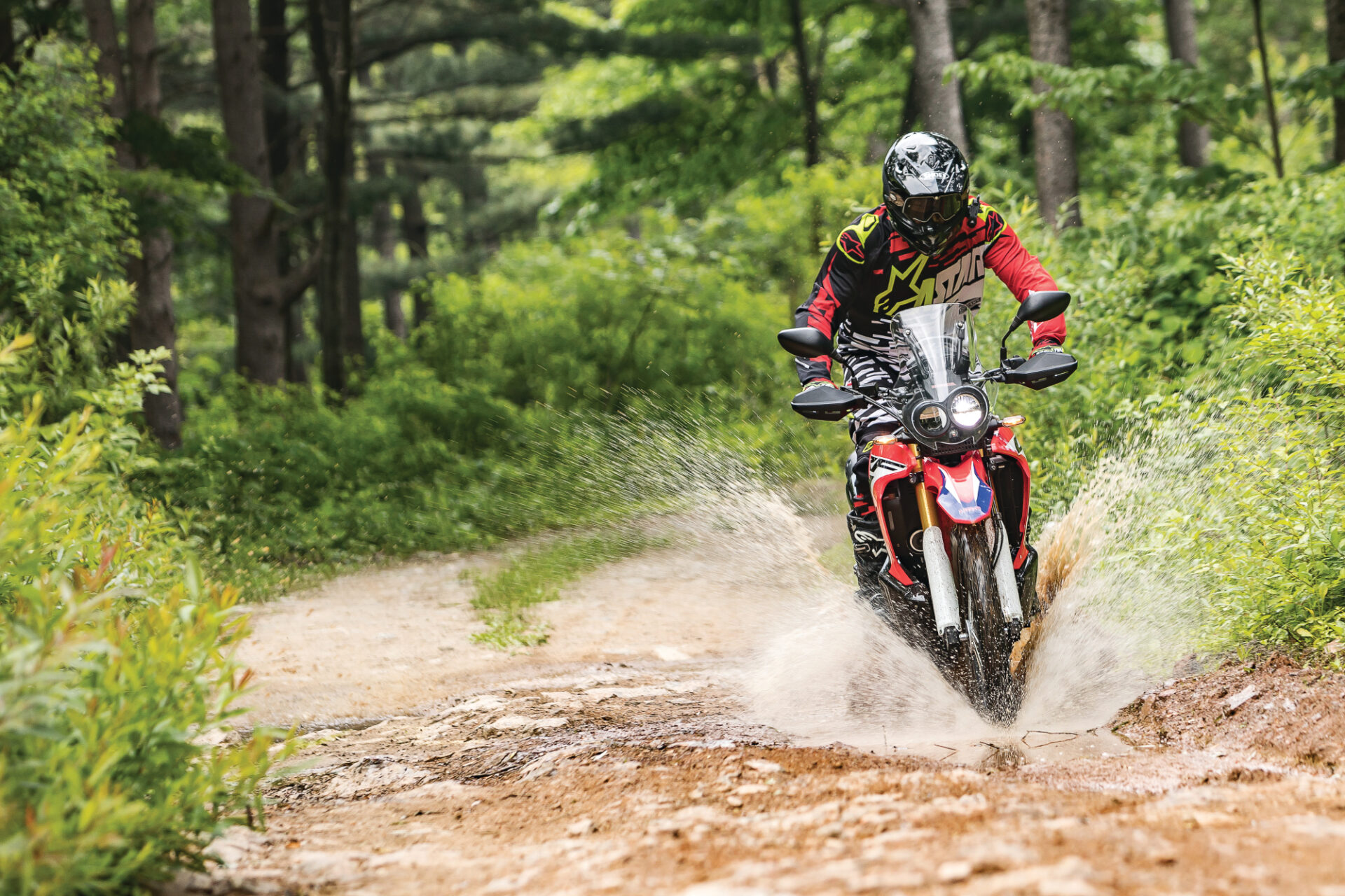 누구나 랠리스트처럼, 혼다 CRF250 RALLY